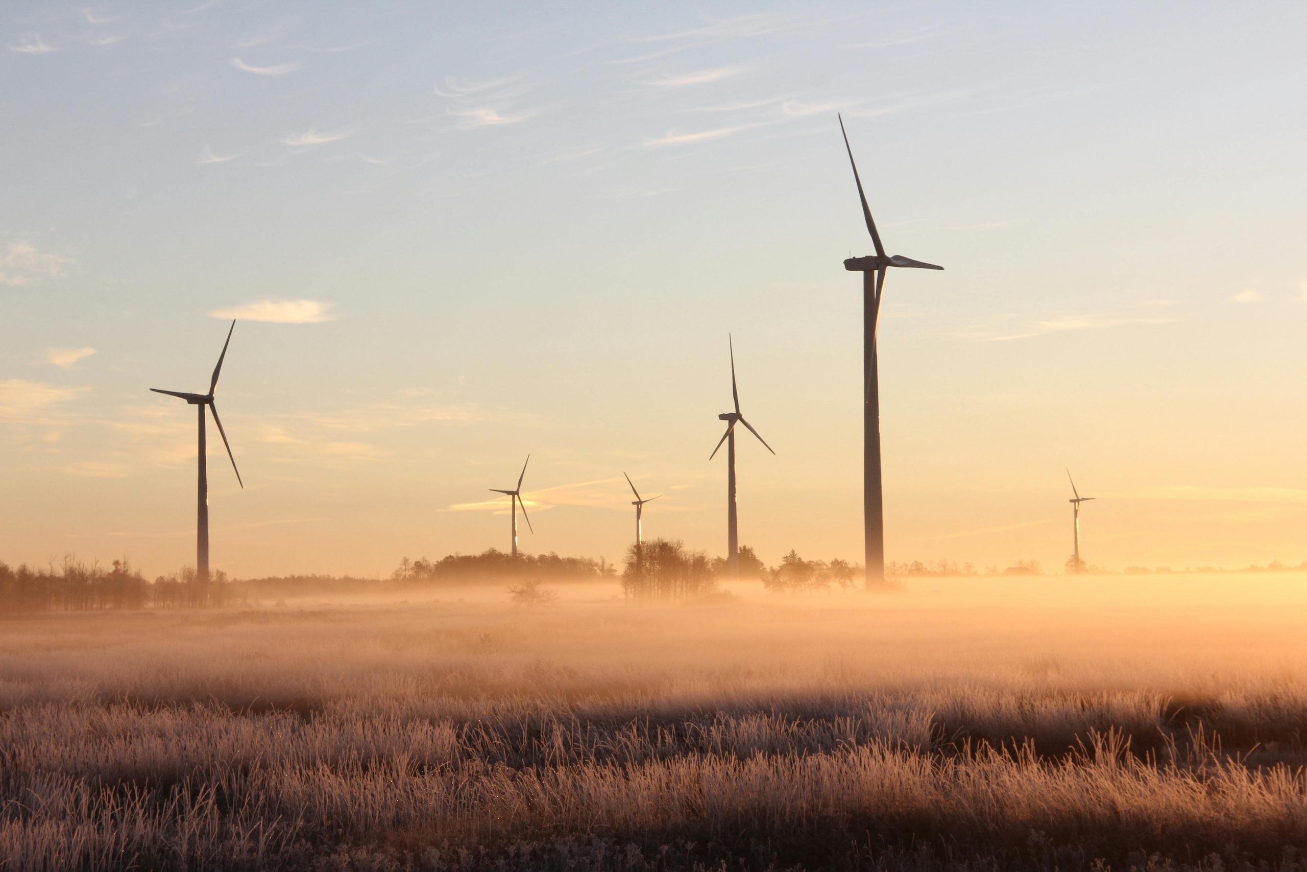 Wind Turbines in a foggy field